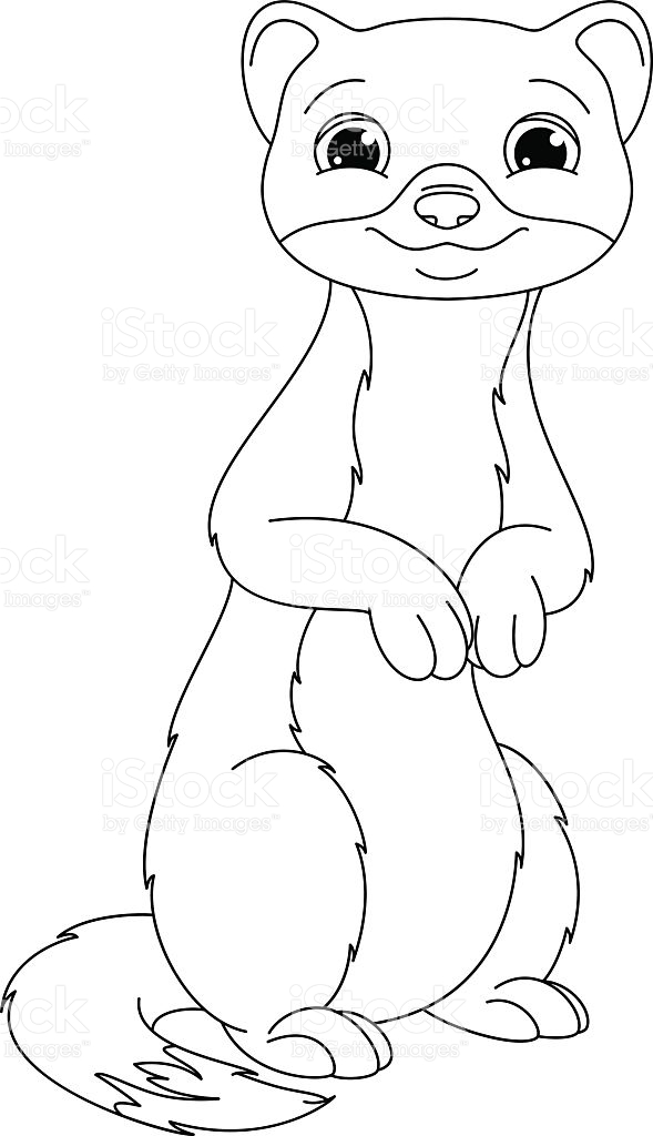 Download Weasel coloring for free - Designlooter 2020 👨‍🎨