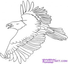 Wedge Tailed Eagle coloring #5, Download drawings