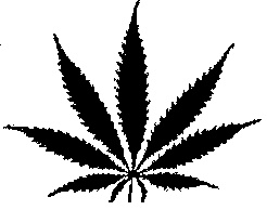 Weed clipart #12, Download drawings