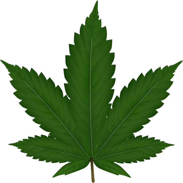 Weed clipart #16, Download drawings