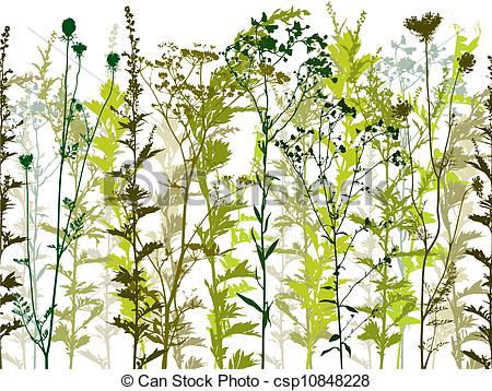Weeds clipart #11, Download drawings