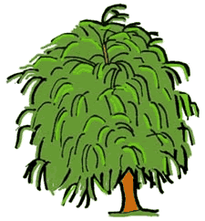 Weeping Willow clipart #19, Download drawings