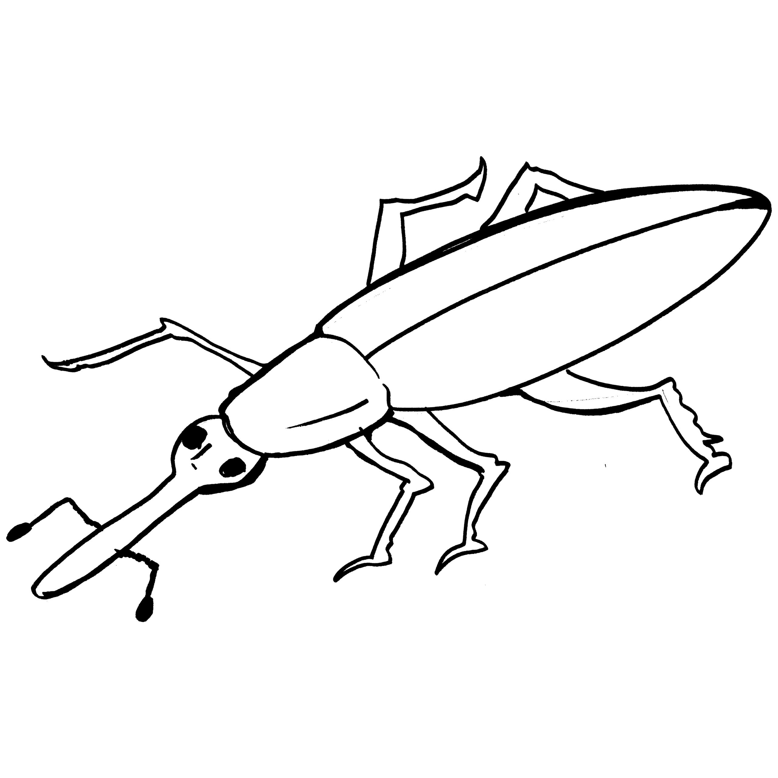 Weevil coloring #10, Download drawings