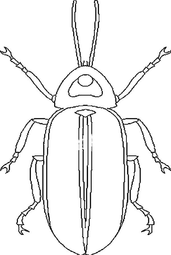 Weevil coloring #15, Download drawings