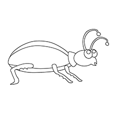 Weevil coloring #12, Download drawings
