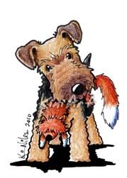 Welsh Terrier coloring #20, Download drawings