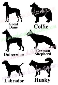 Welsh Terrier svg #10, Download drawings