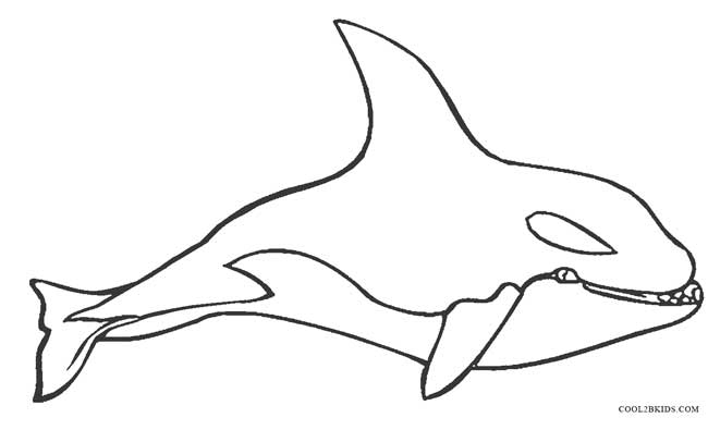 Whale coloring #16, Download drawings