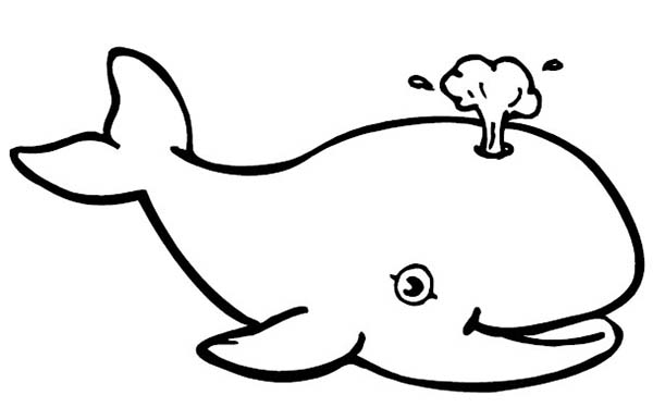 Whale coloring #14, Download drawings
