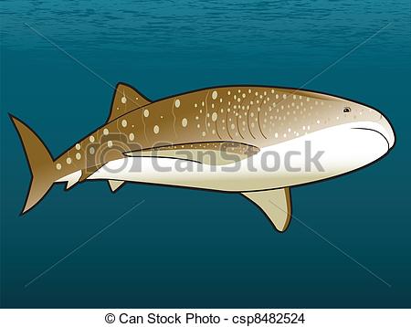 Whale Shark clipart #11, Download drawings