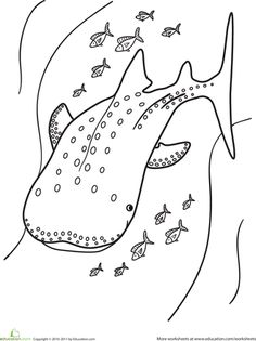 Whale Shark coloring #14, Download drawings