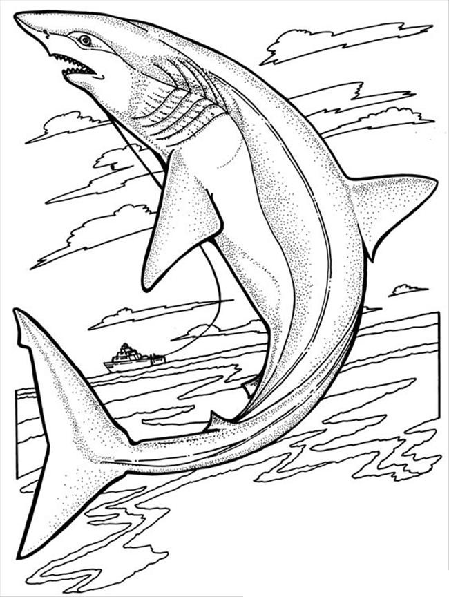 Whale Shark coloring #10, Download drawings