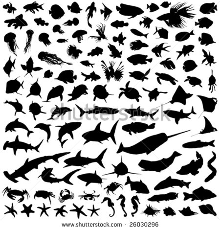 Whale Shark svg #9, Download drawings