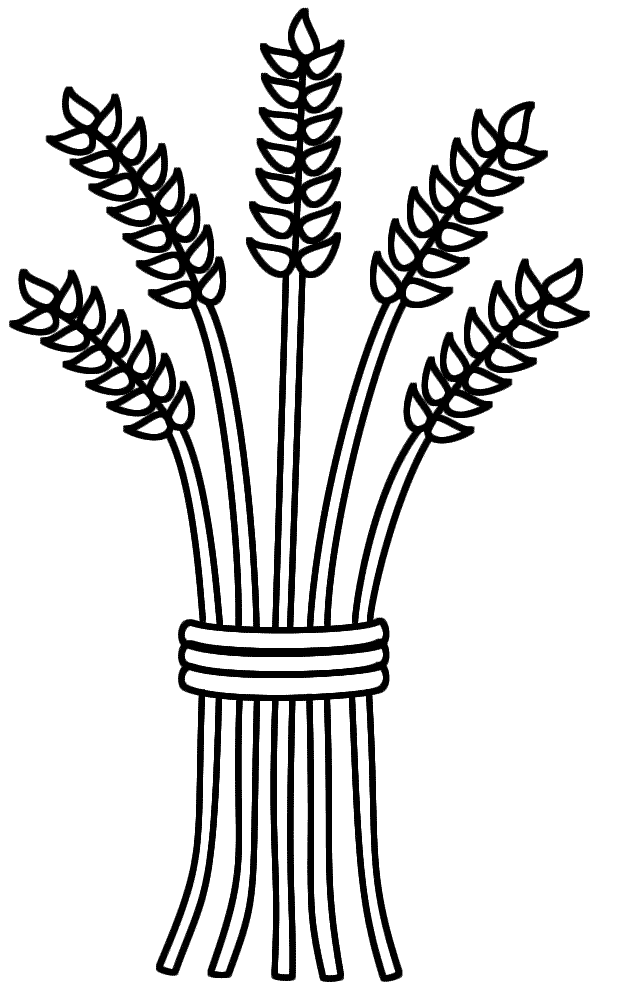 Wheat coloring #19, Download drawings