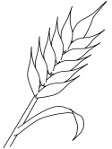 Wheat coloring #20, Download drawings
