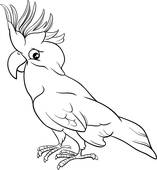 White Cockatoo clipart #16, Download drawings