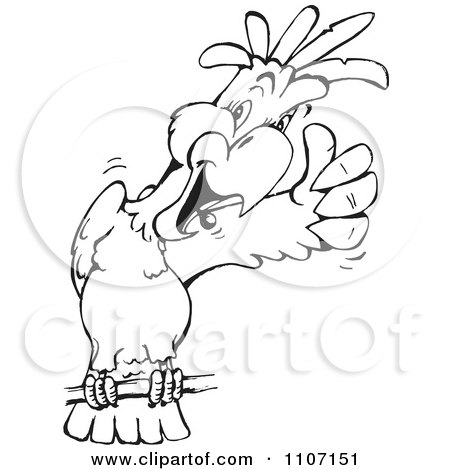 White Cockatoo clipart #11, Download drawings