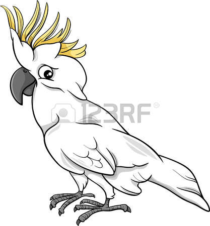 White Cockatoo clipart #10, Download drawings