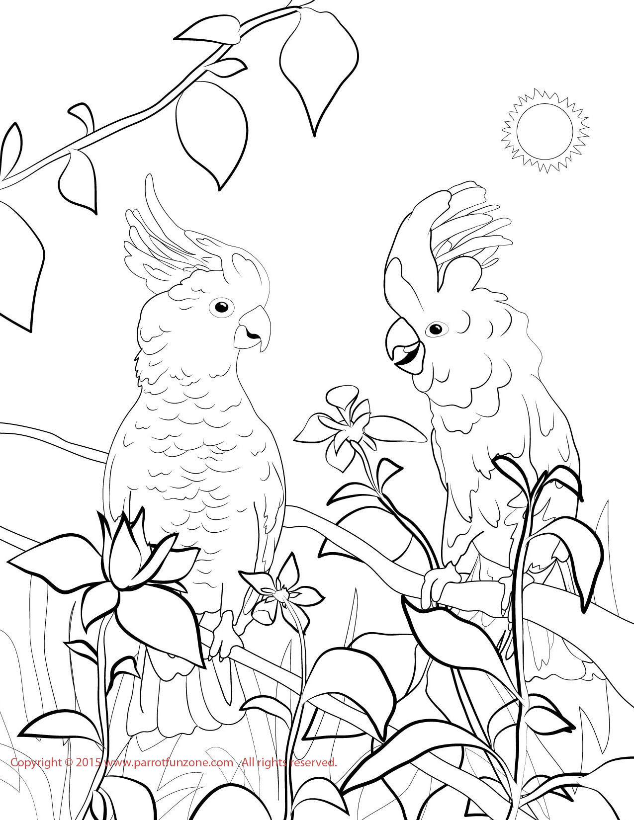 White Cockatoo coloring #9, Download drawings