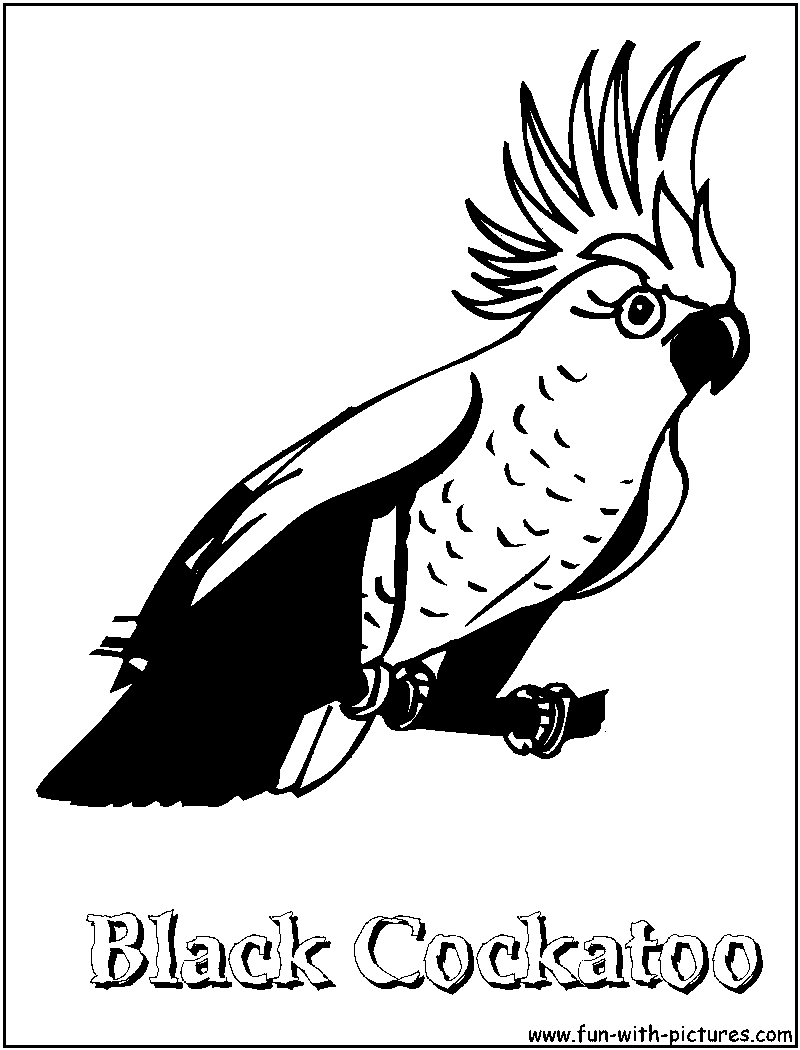 White Cockatoo coloring #1, Download drawings