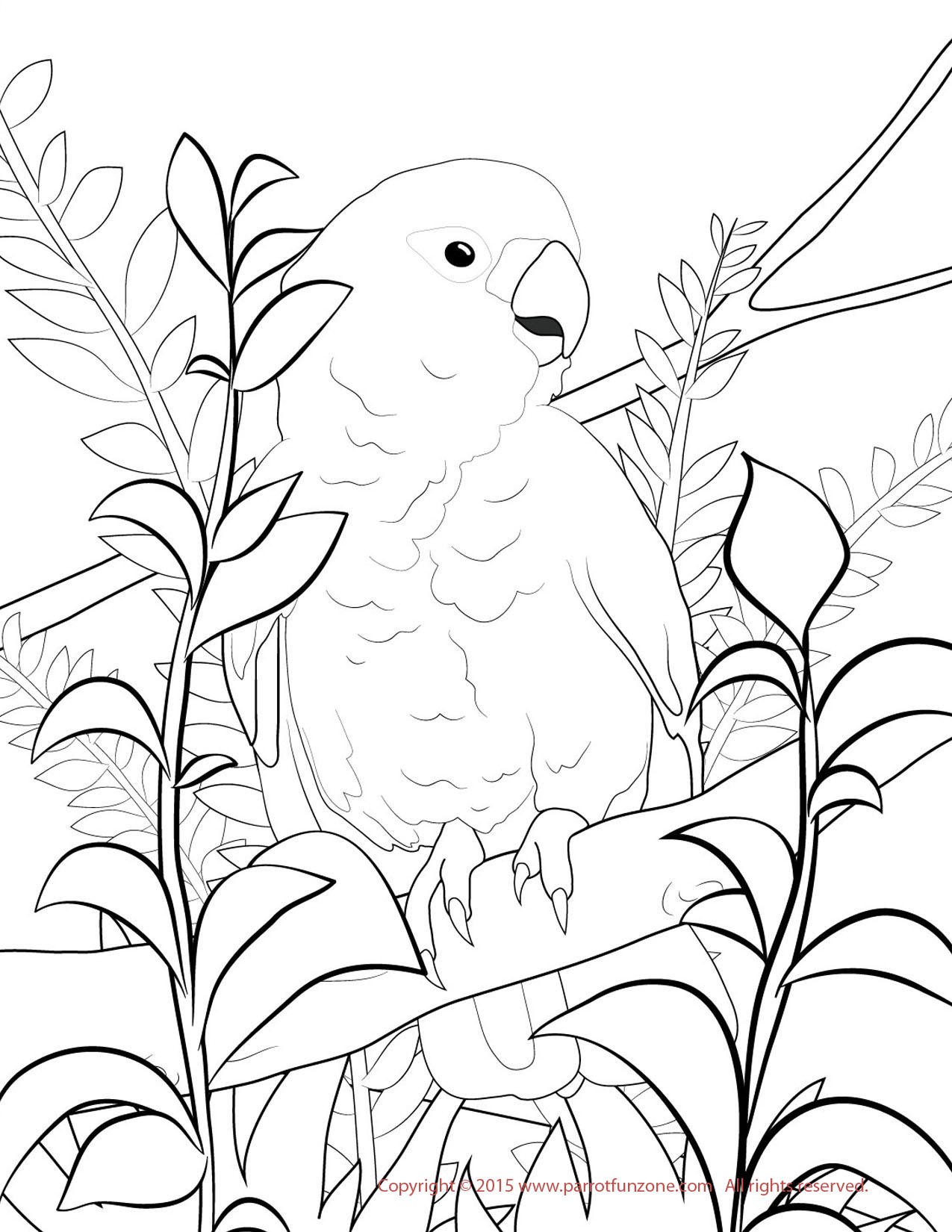 White Cockatoo coloring #18, Download drawings