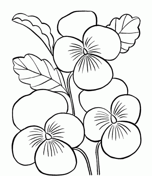 White Flower coloring #8, Download drawings