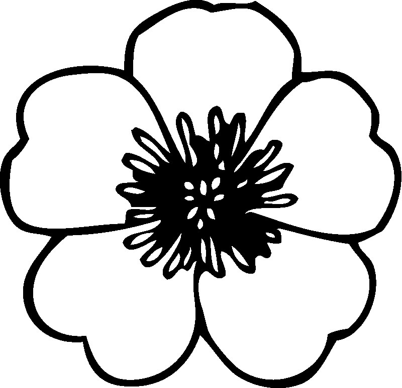 White Flower coloring #1, Download drawings