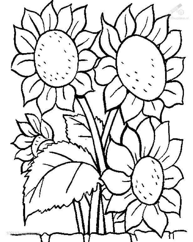 White Flower coloring #6, Download drawings
