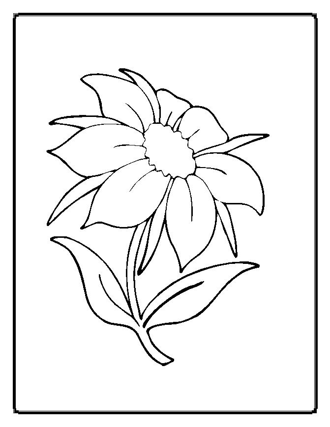 White Flower coloring #2, Download drawings