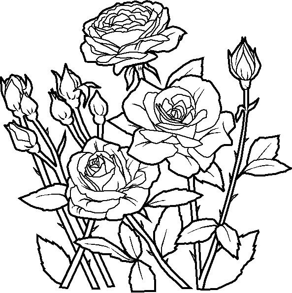 White Flower coloring #4, Download drawings