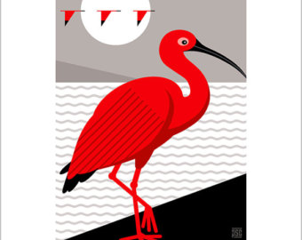 White Ibis clipart #12, Download drawings