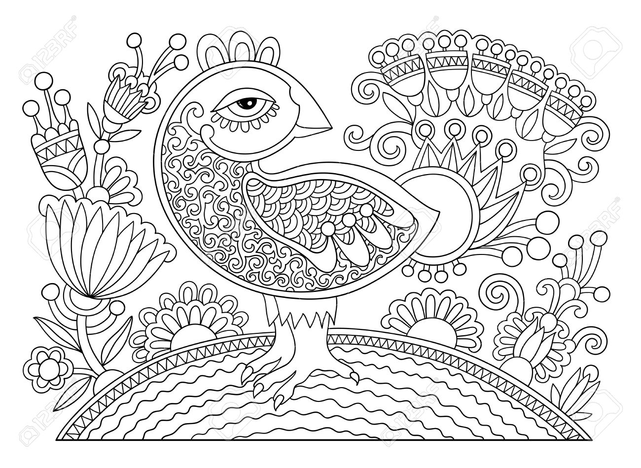White Peafowl coloring #12, Download drawings