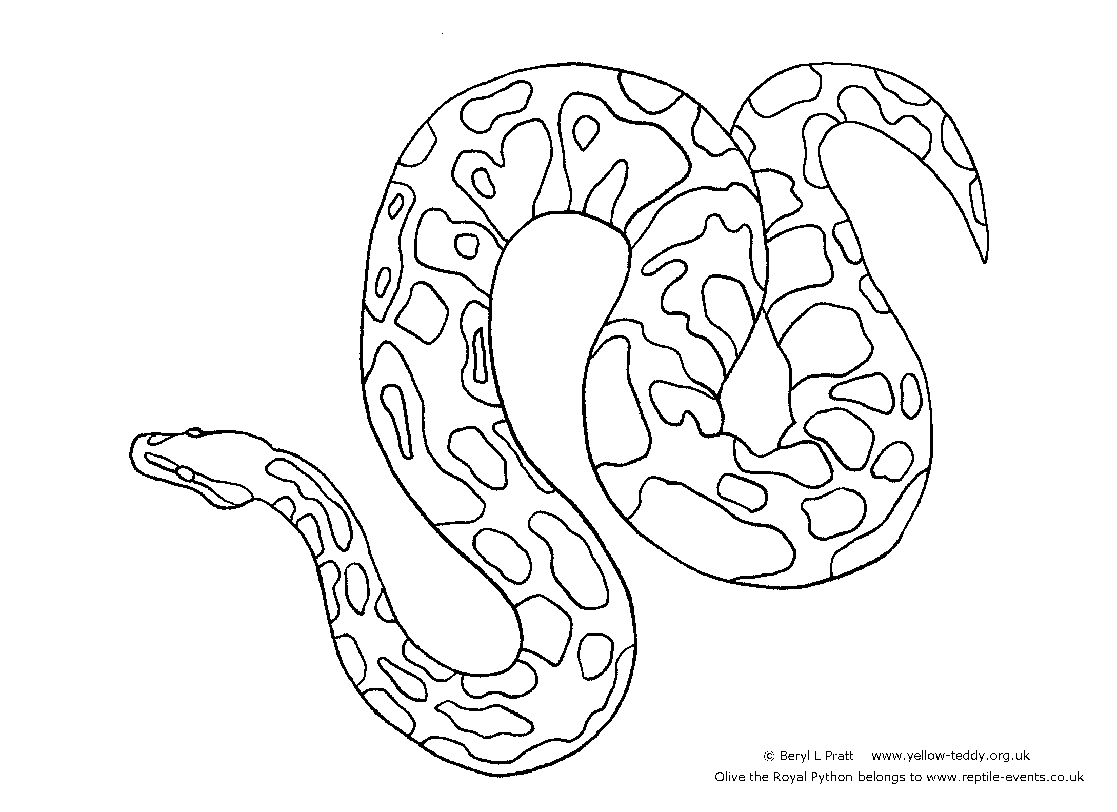 Ball Python coloring #16, Download drawings