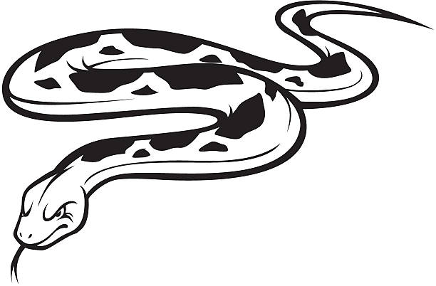 White Python clipart #18, Download drawings