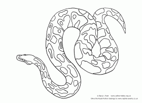 White Python coloring #15, Download drawings