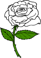 White Rose clipart #20, Download drawings