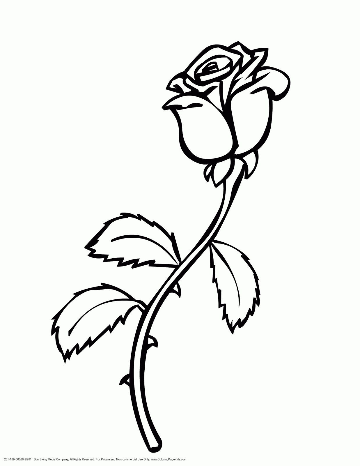 White Rose coloring #2, Download drawings