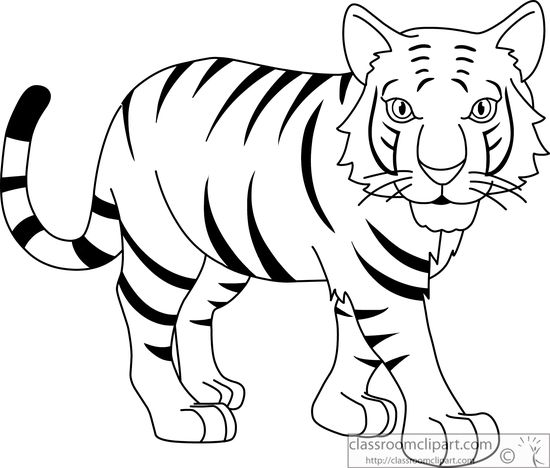 White Tiger clipart #5, Download drawings