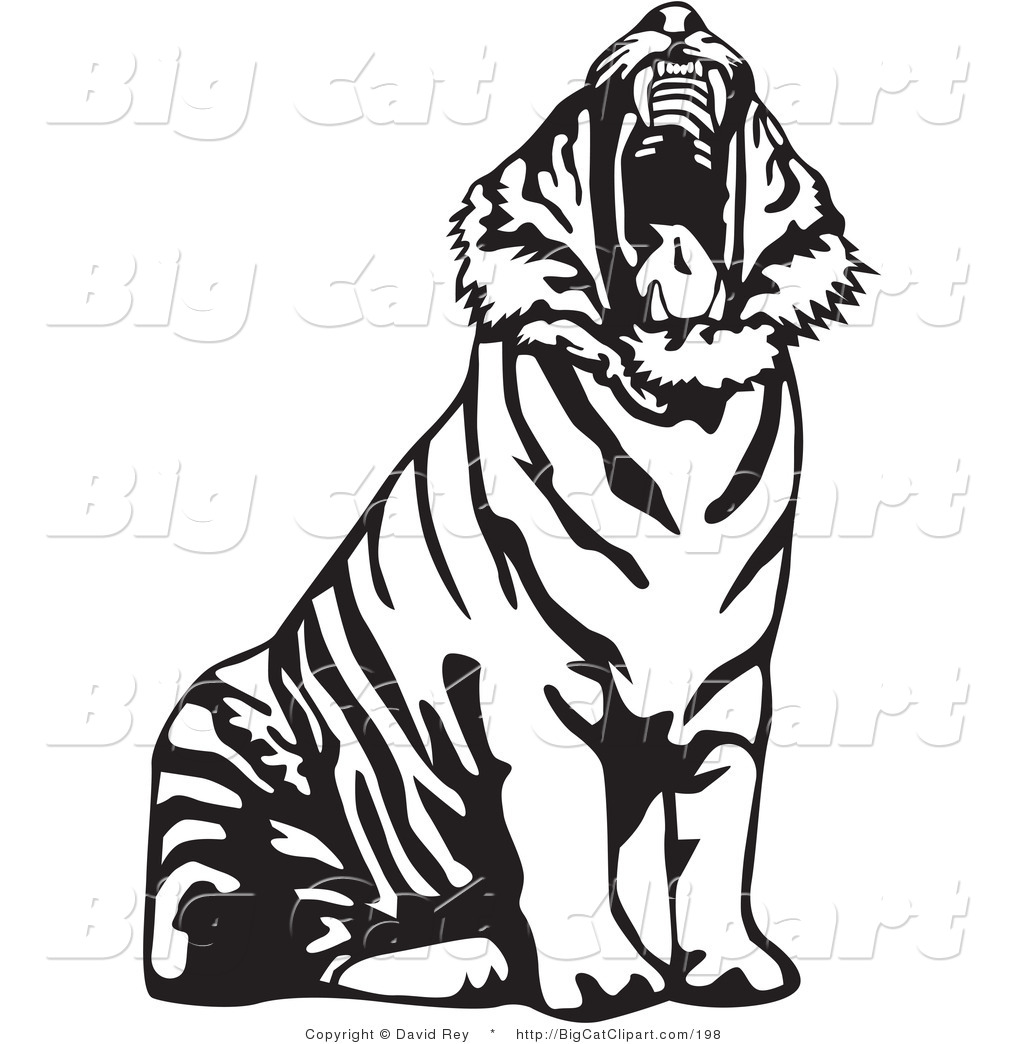 White Tiger clipart #6, Download drawings