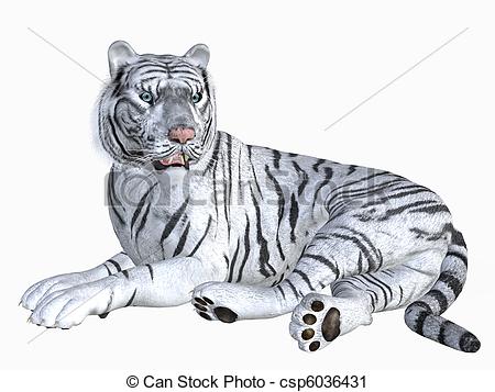 White Tiger clipart #13, Download drawings