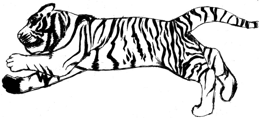 White Tiger clipart #20, Download drawings