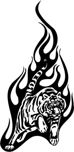 White Tiger svg #17, Download drawings