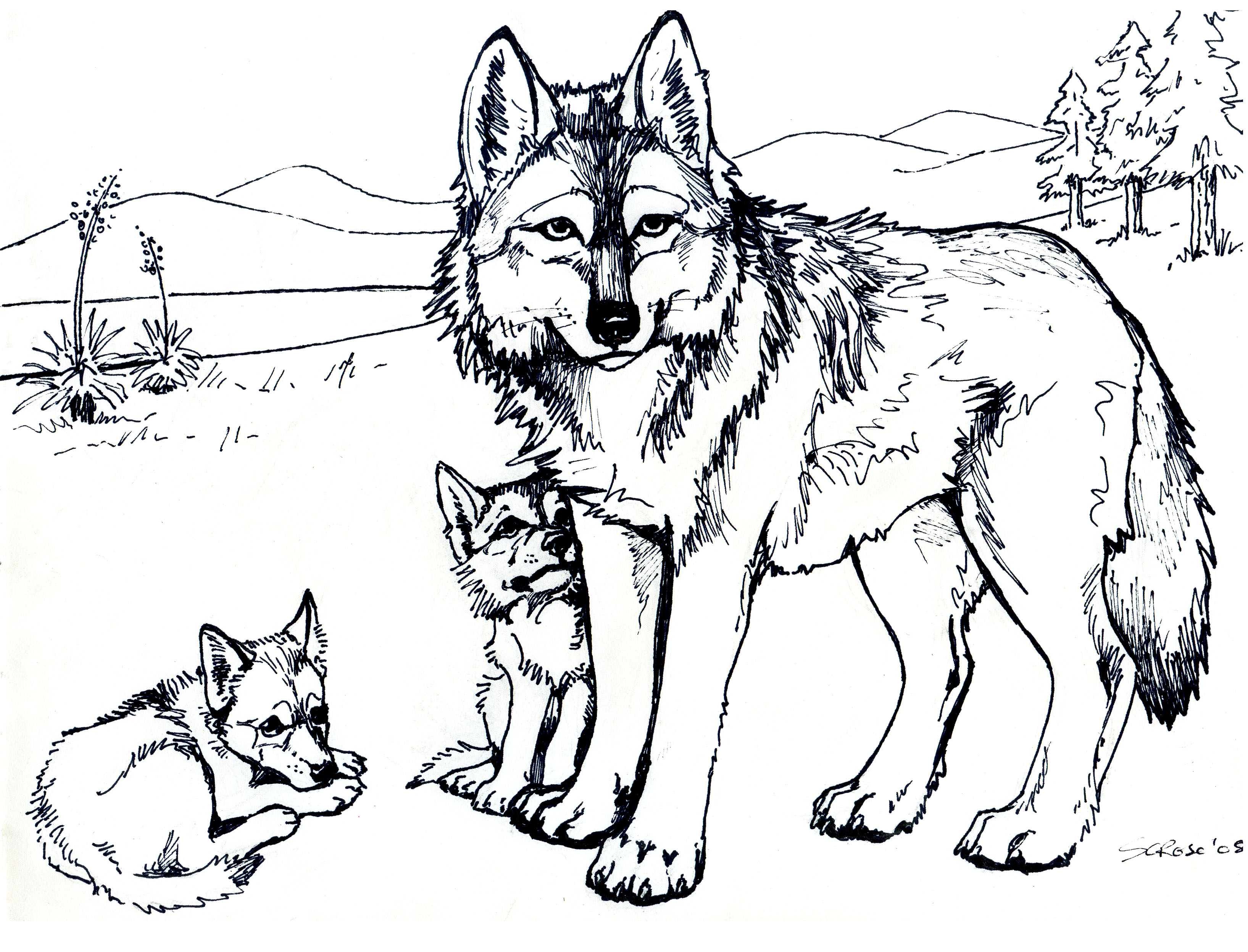White Wolf coloring #5, Download drawings