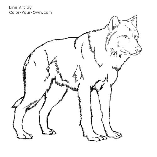 White Wolf coloring #11, Download drawings