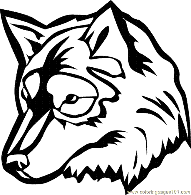 White Wolf coloring #9, Download drawings