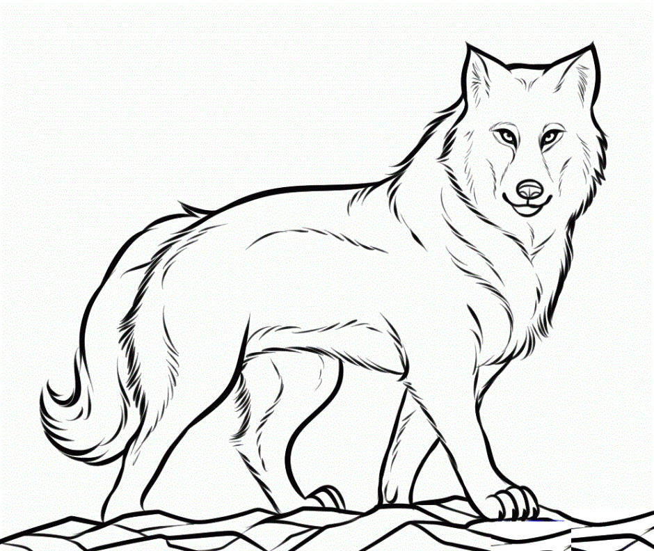 White Wolf coloring #6, Download drawings