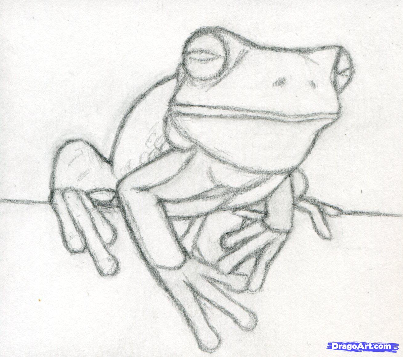 White-lipped Tree Frog coloring #3, Download drawings