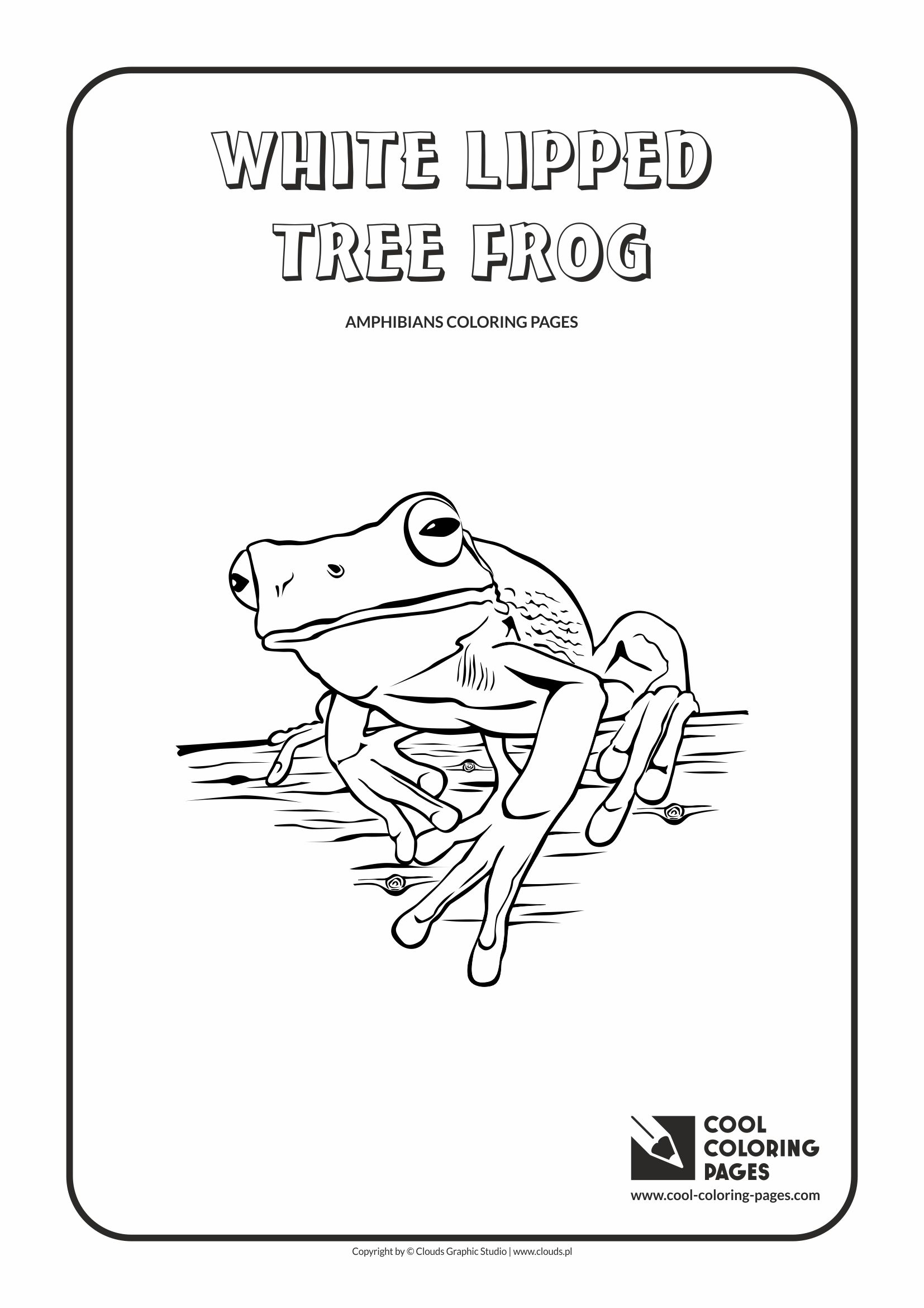 White-lipped Tree Frog coloring #10, Download drawings