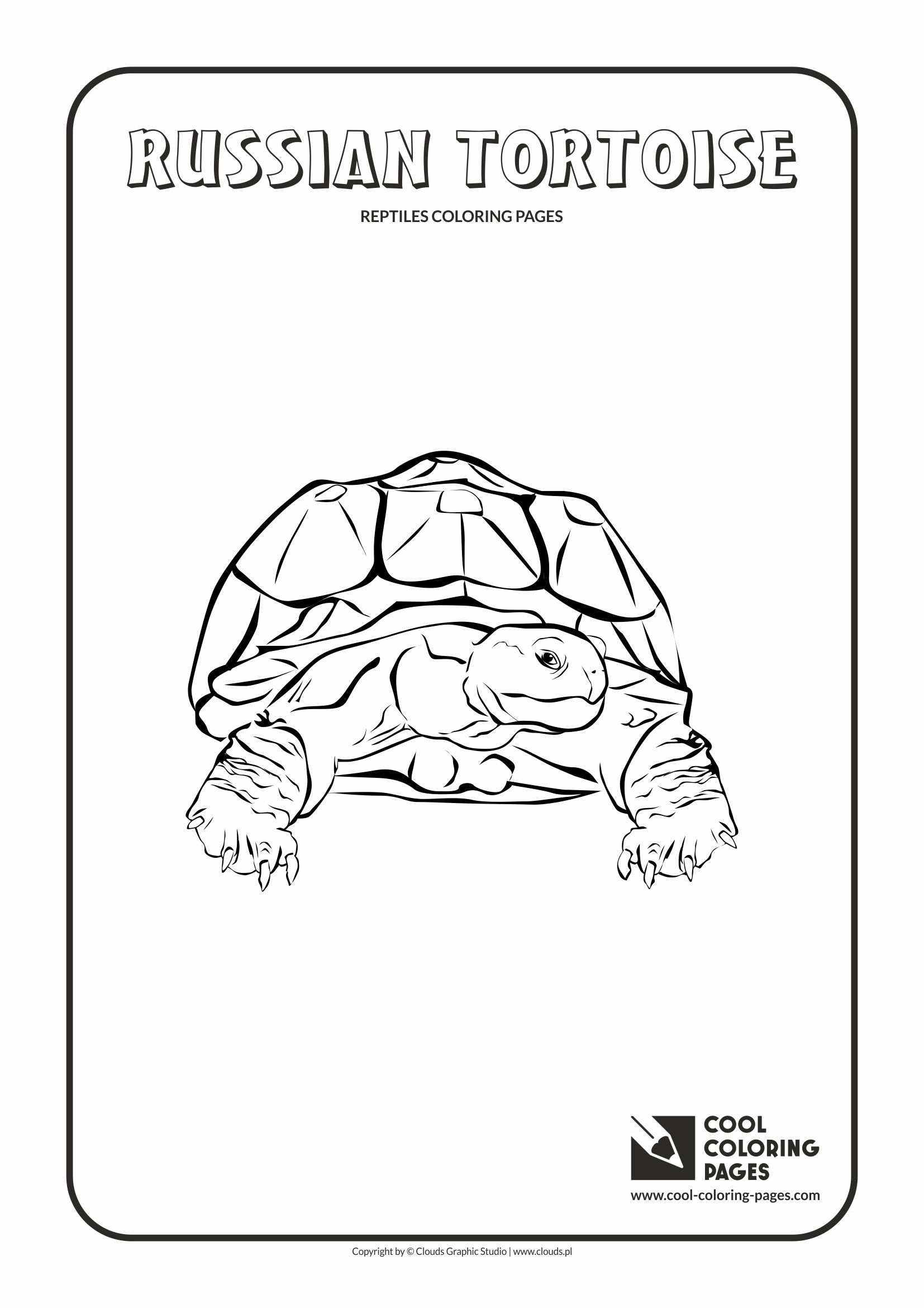 White-lipped Tree Frog coloring #14, Download drawings