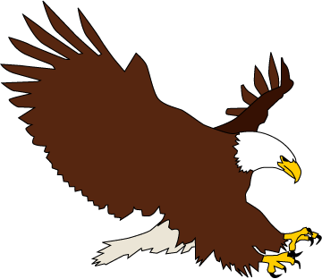 White-tailed Eagle clipart #9, Download drawings